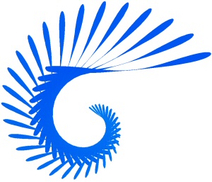 software firm logo